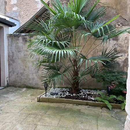 Cosy Appartement Hyper Centre Ville Avec Cour + Patio オセール エクステリア 写真