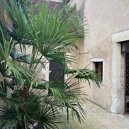 Cosy Appartement Hyper Centre Ville Avec Cour + Patio オセール エクステリア 写真