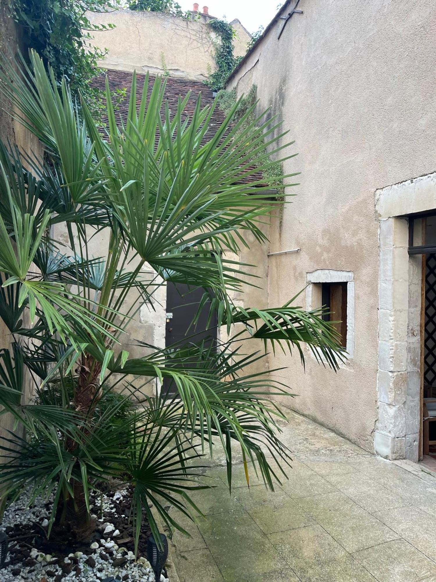 Cosy Appartement Hyper Centre Ville Avec Cour + Patio オセール エクステリア 写真